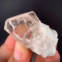 specimen video