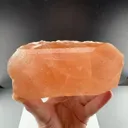 specimen video