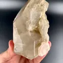 specimen video