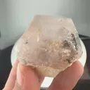 specimen video