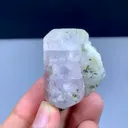 specimen video
