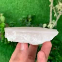 specimen video