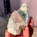 specimen video