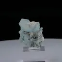 specimen video
