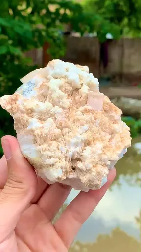 specimen video