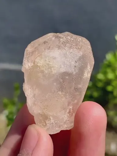 specimen video