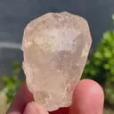 specimen video