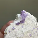 Morganite from Pakistan - image 9