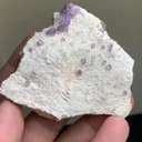 specimen video