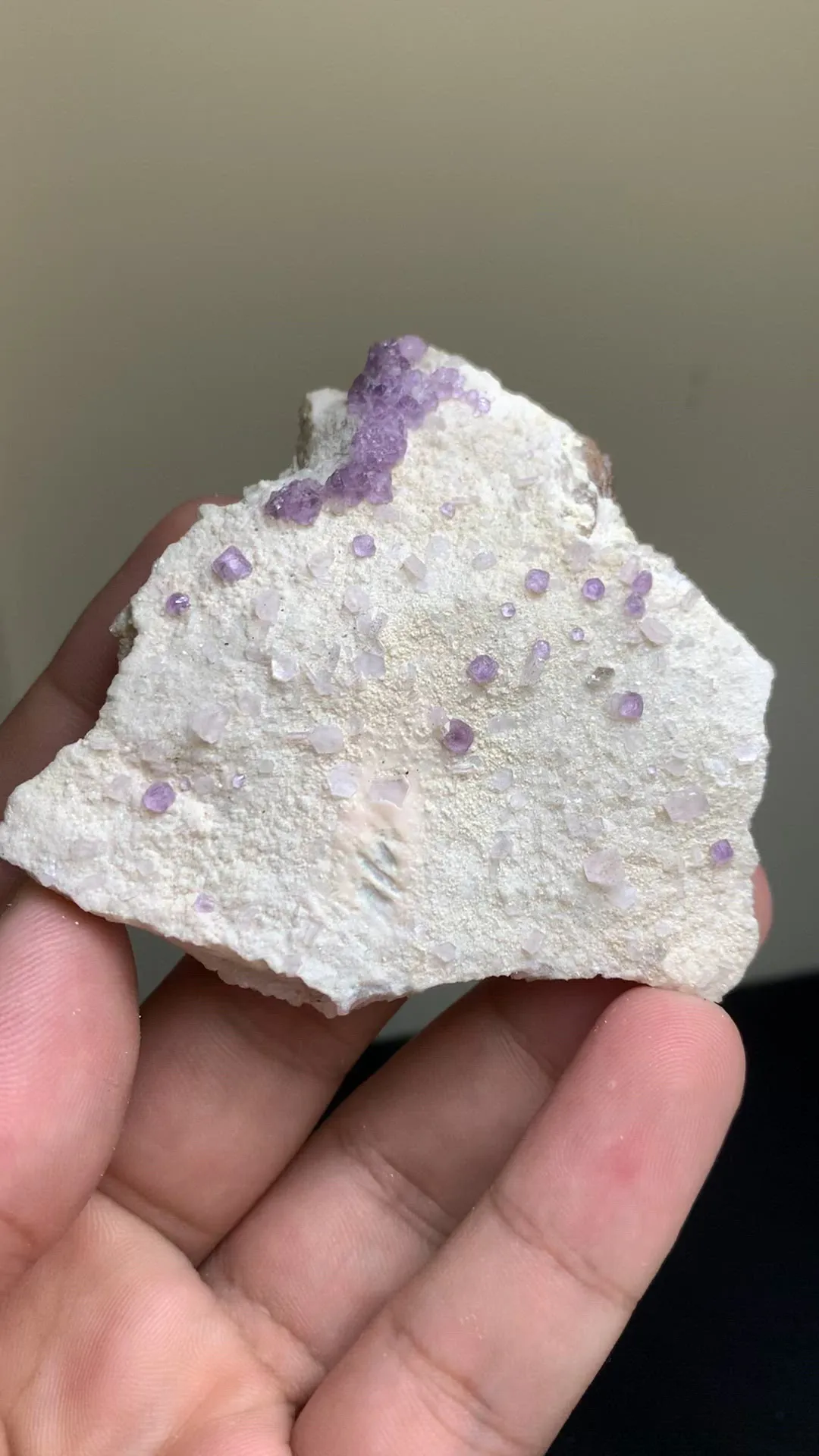 specimen video