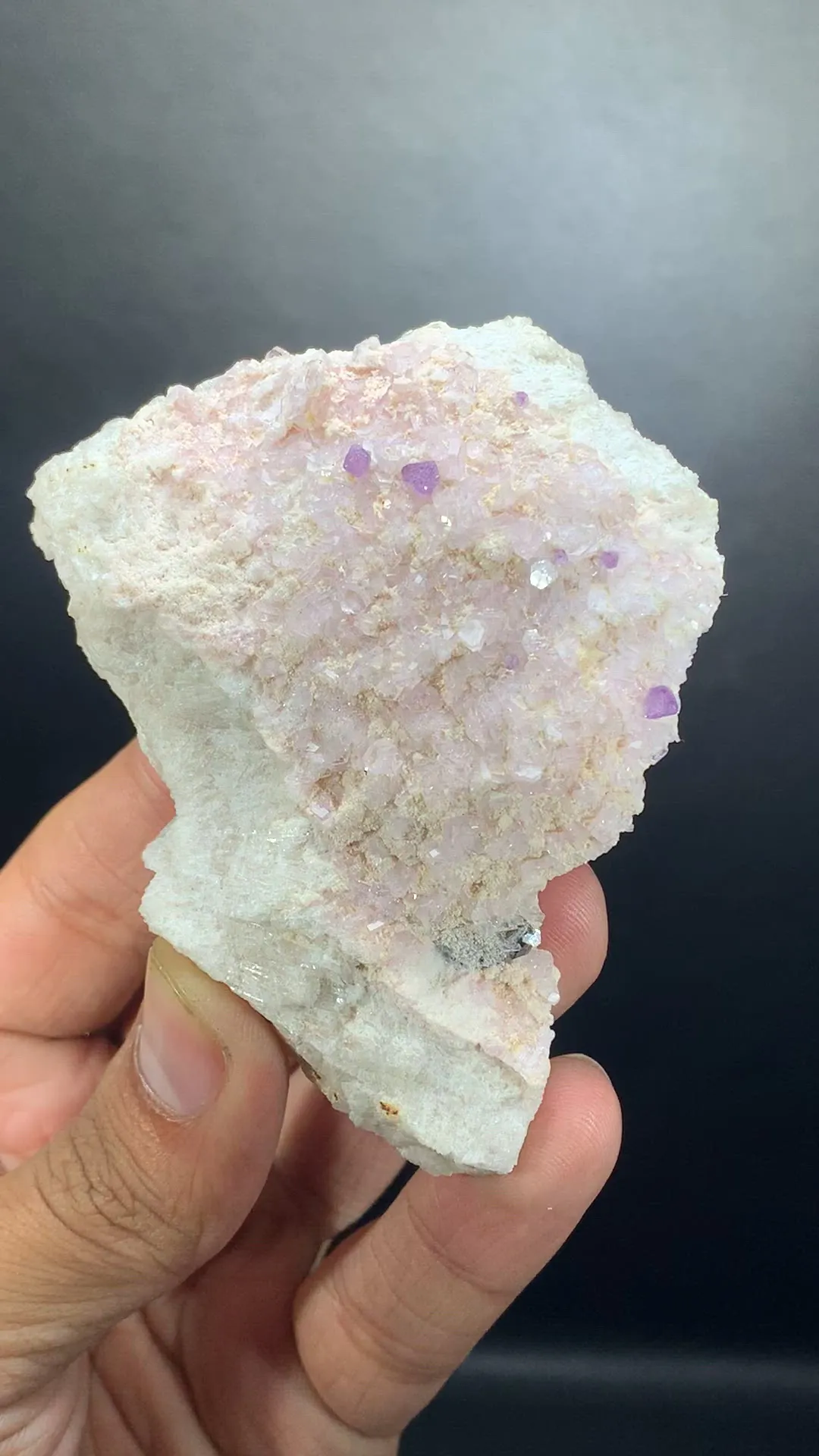 specimen video