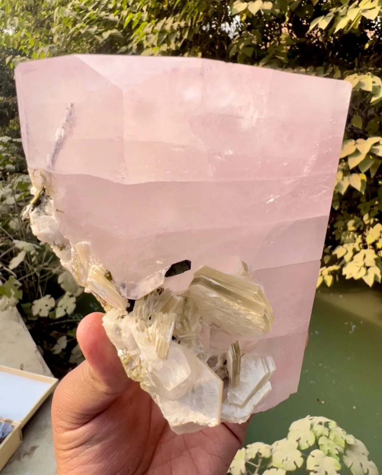 Morganite from Pakistan, Gilgit-Baltistan, Skardu District - image 4