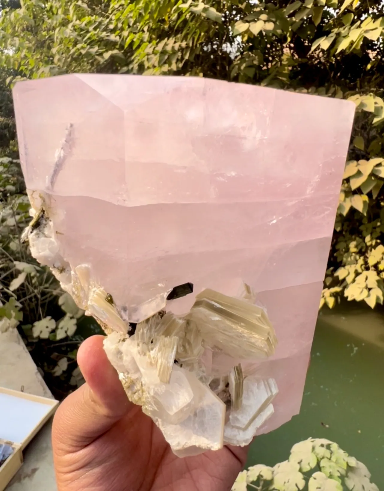 Morganite from Pakistan, Gilgit-Baltistan, Skardu District - image 7