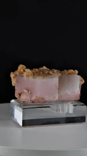 specimen video