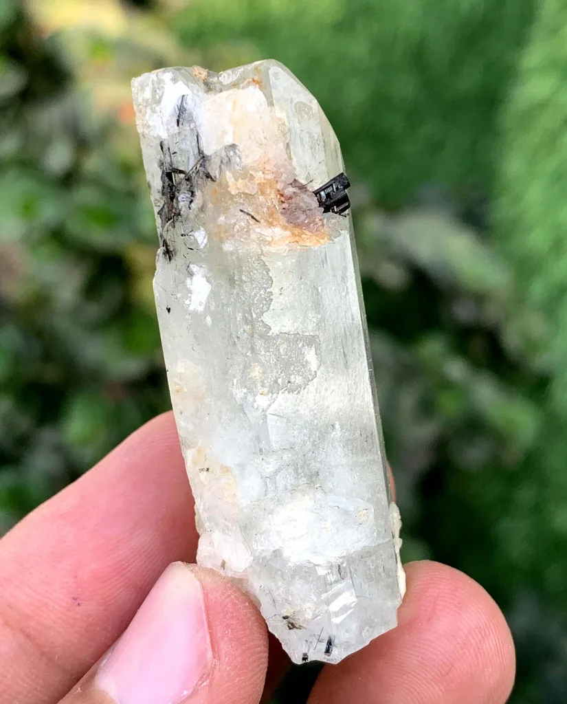Morganite