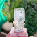 specimen video