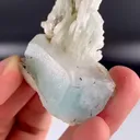 specimen video