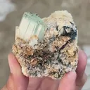 specimen video