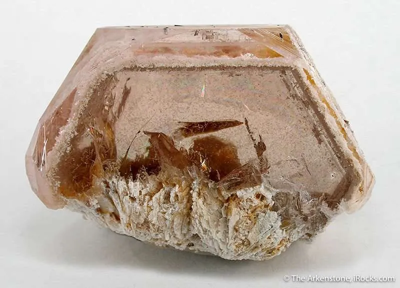 Morganite on Albite image