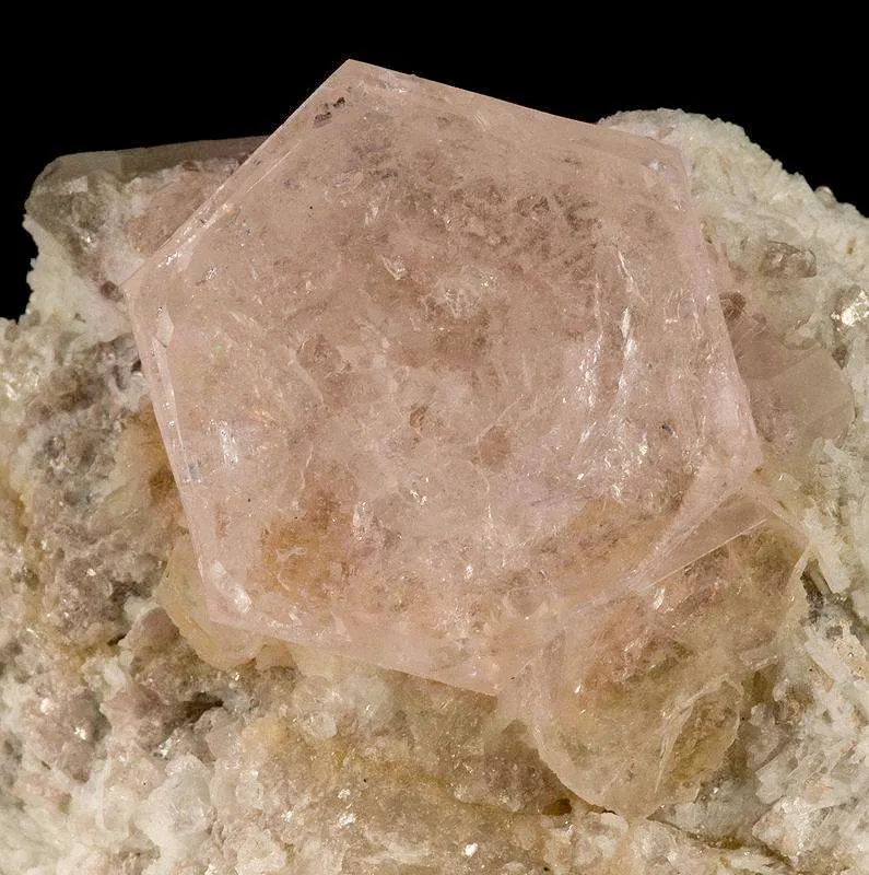 Morganite on Albite With Lepidolite - image 3