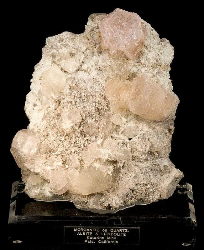 Morganite on Albite With Lepidolite image