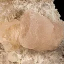 Morganite on Albite With Lepidolite - image 4