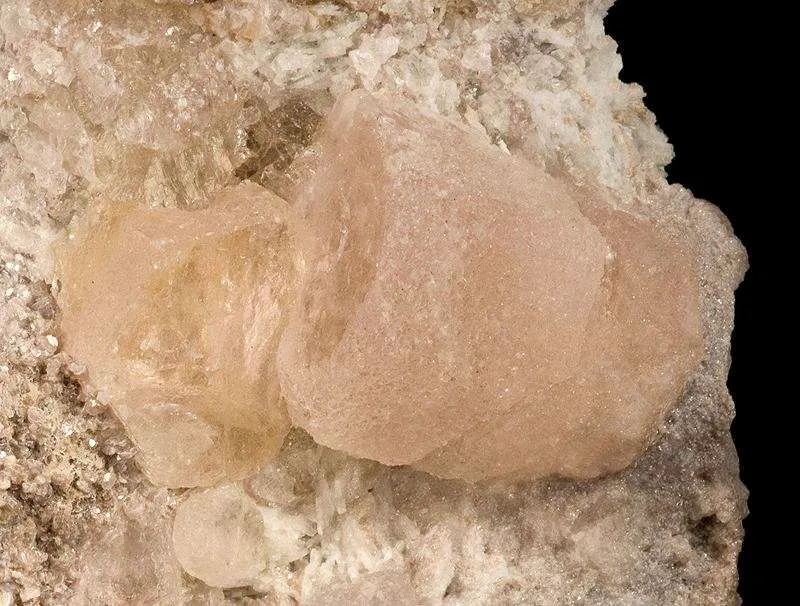 Morganite on Albite With Lepidolite - image 4