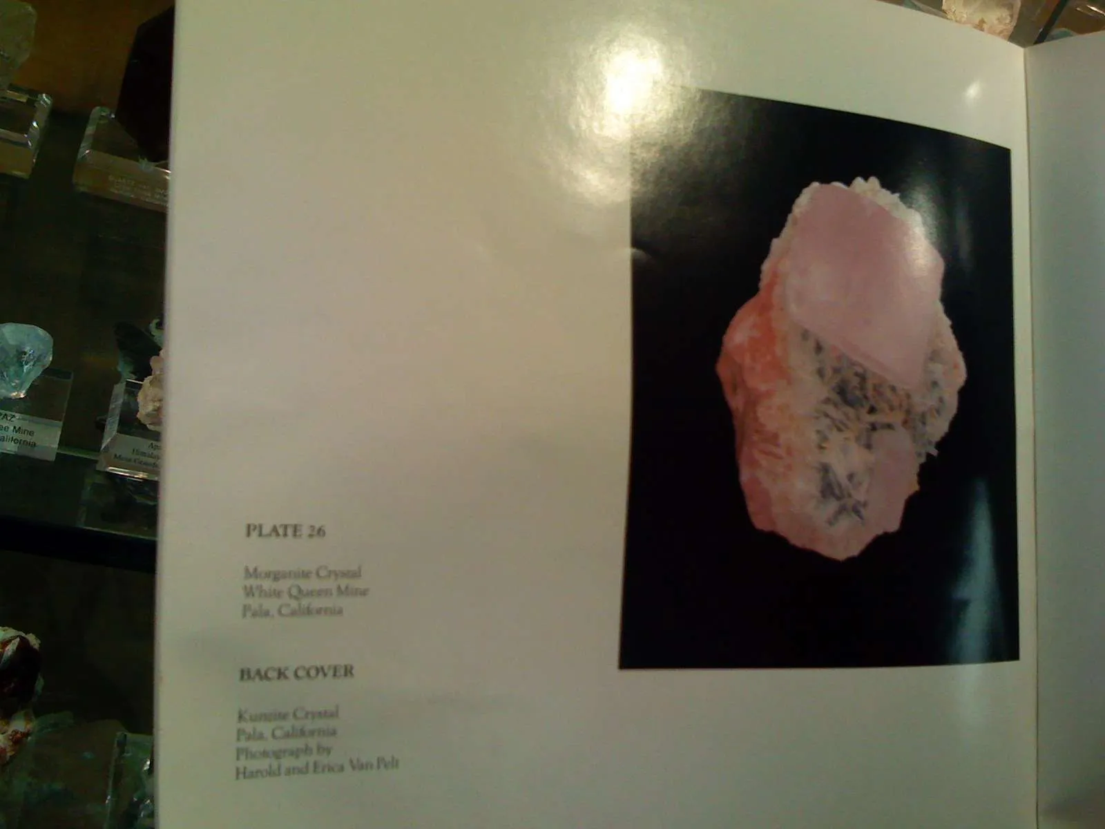 Morganite on Cleavelandite - image 5