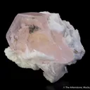 Morganite on Cleavelandite - image 5