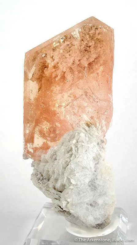 Morganite on Cleavelandite image