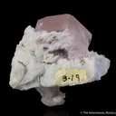 Morganite on Cleavelandite - image 3