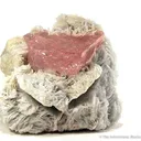 Morganite on Cleavelandite - image 1