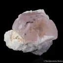 Morganite on Cleavelandite - image 6