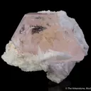 Morganite on Cleavelandite - image 4