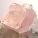 Morganite on Cleavelandite With Quartz - image 3