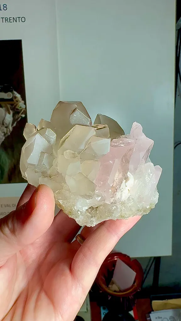 specimen video