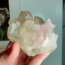 specimen video