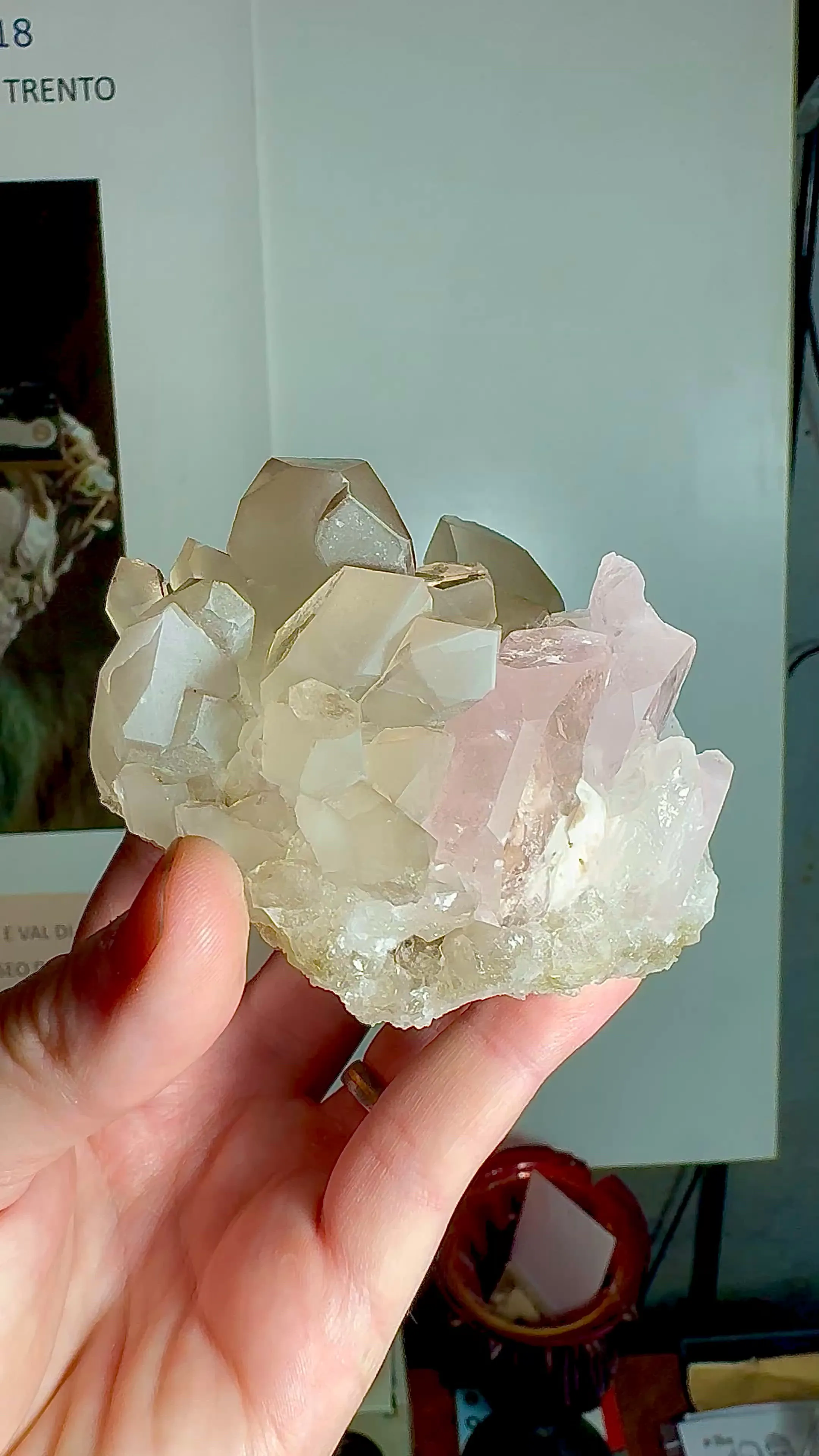 specimen video