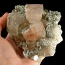 Morganite on Quartz With Lepidolite - image 7