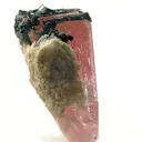 Morganite Over Aquamarine With Tourmaline, Albite, Lepidolite - image 3