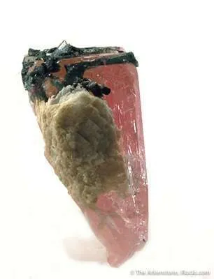 Morganite Over Aquamarine With Tourmaline, Albite, Lepidolite - image 3