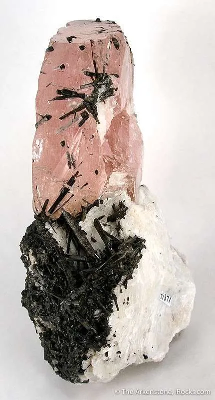 Morganite With Albite on Schorl - image 2