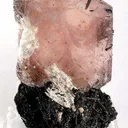 Morganite With Albite on Schorl - image 1
