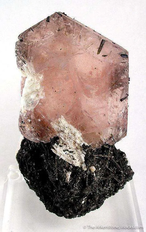 Morganite With Albite on Schorl - image 1