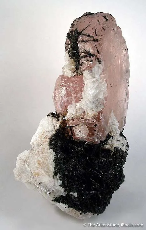 Morganite With Albite on Schorl - image 4