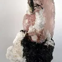 Morganite With Albite on Schorl - image 4