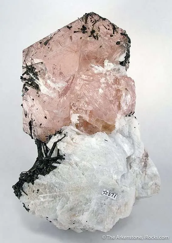 Morganite With Albite on Schorl - image 3