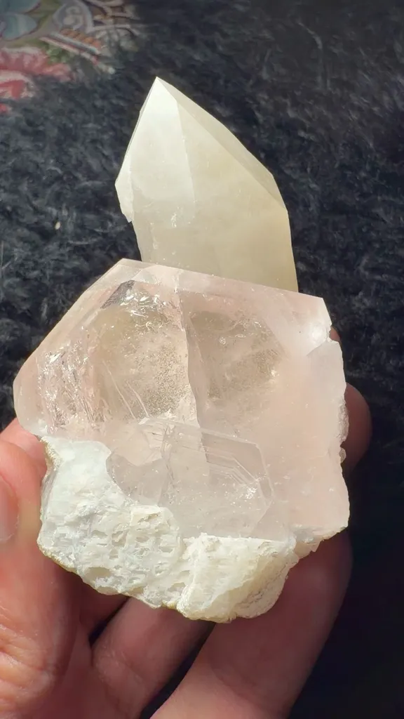 specimen video