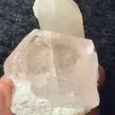 specimen video