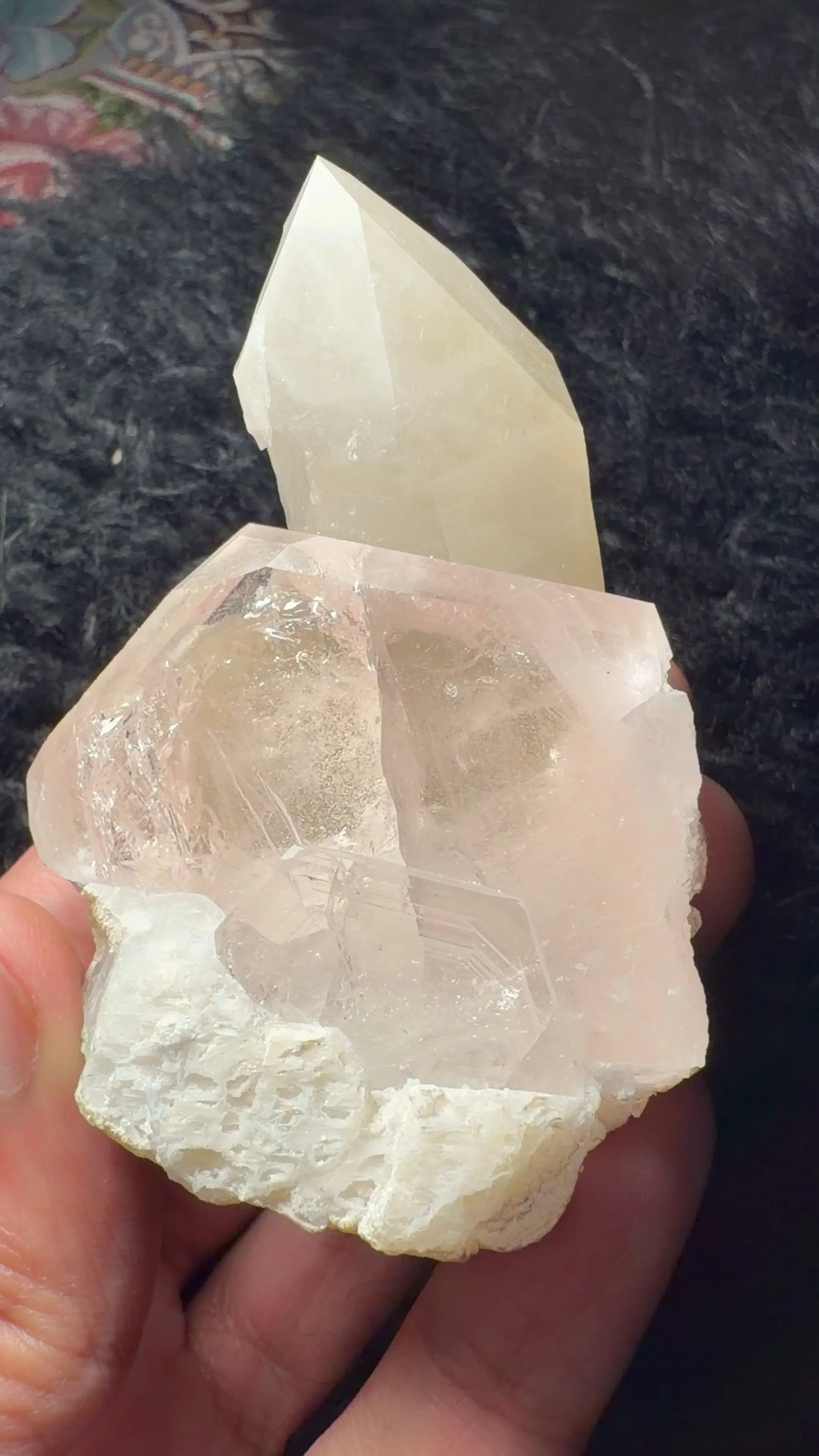 specimen video